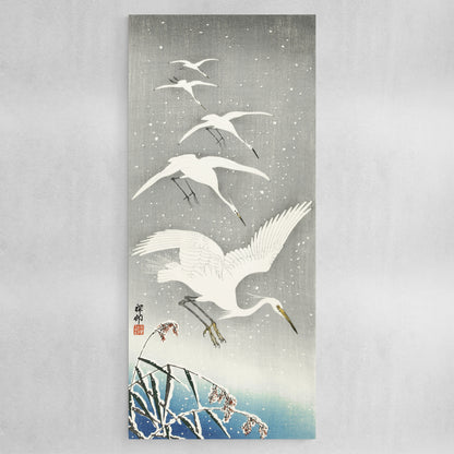 Descending egrets in snow