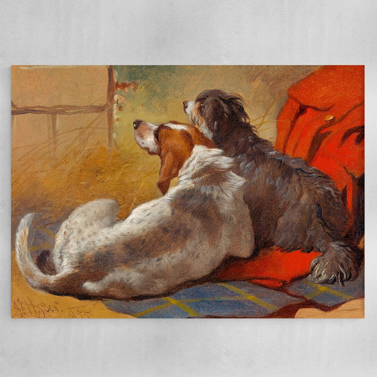 A Hound and a Bearded Collie seated on a Hunting Coat