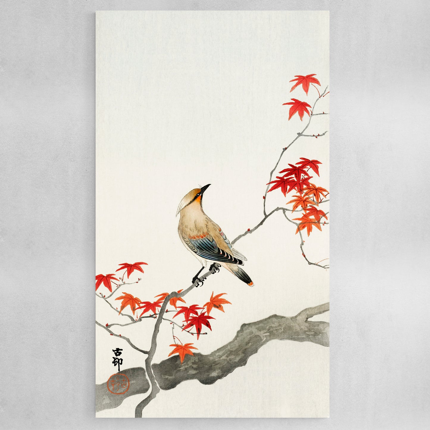 Japanese plague bird on maple