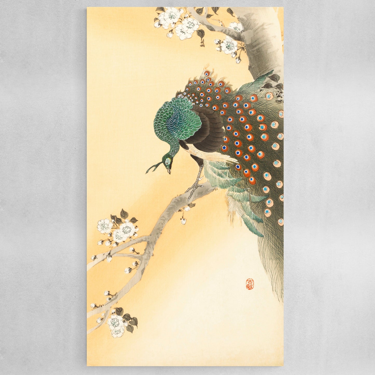 Peacock on a cherry blossom tree