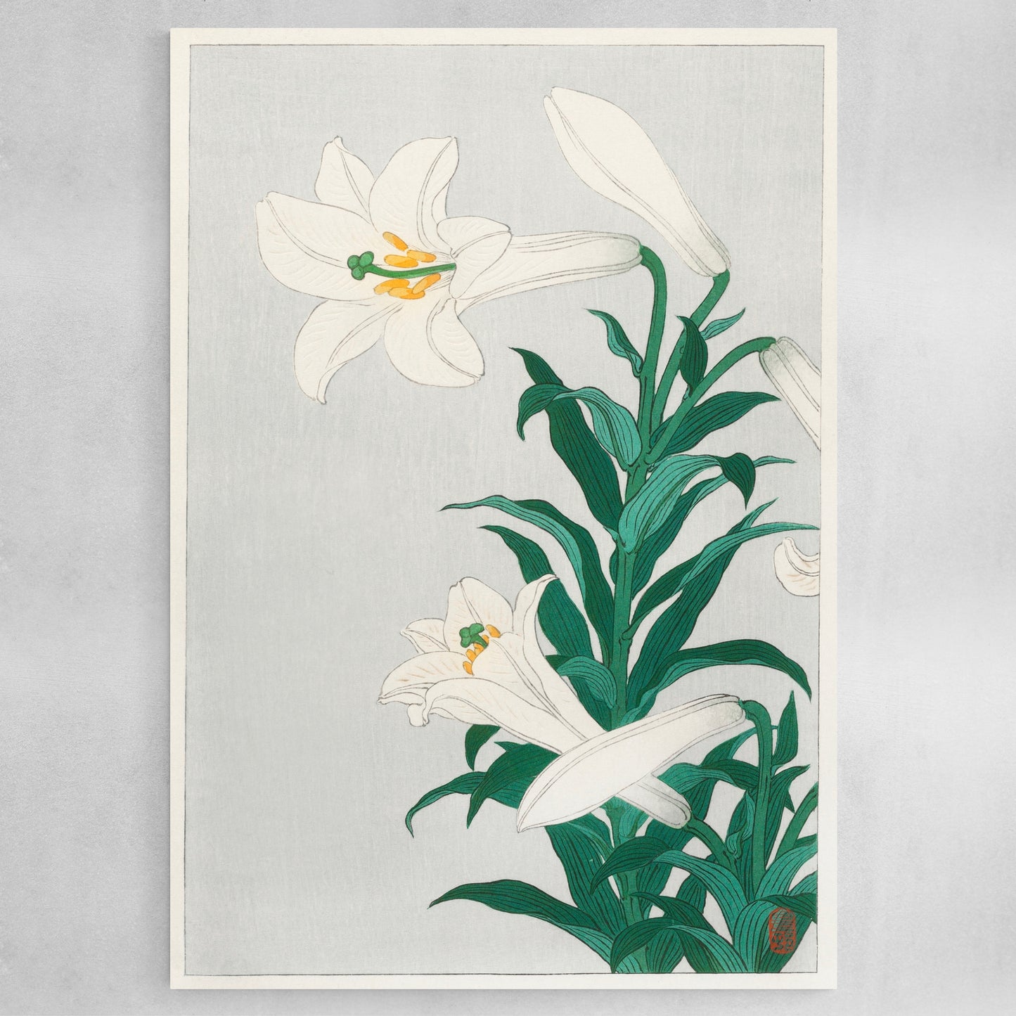 Lilies, Ohara