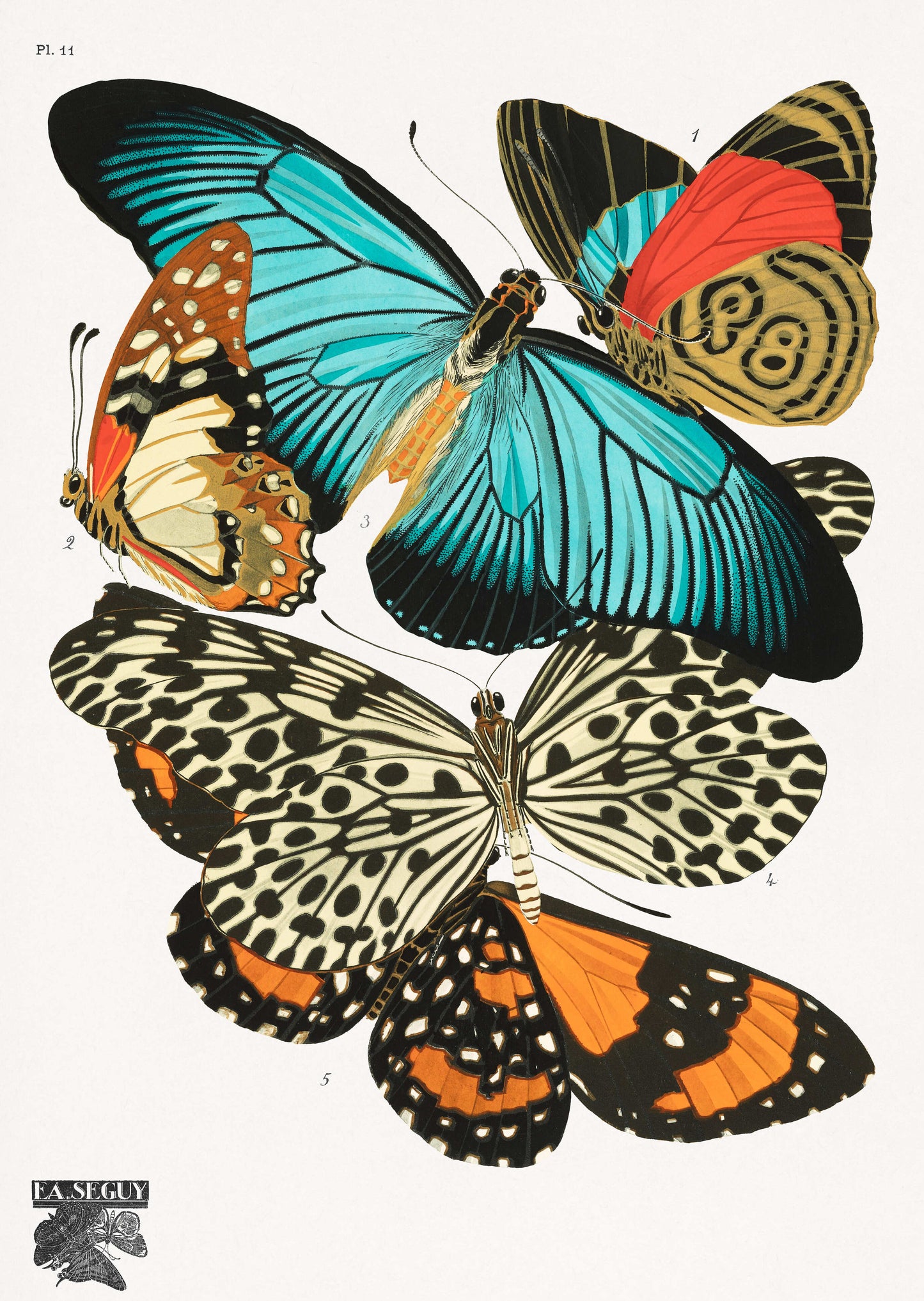 Vintage Butterflies, PL. 11