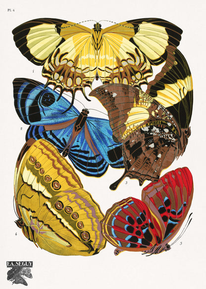 Vintage Butterflies, PL. 4